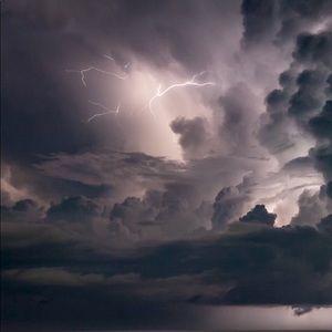 Meet your Posher, Jayla